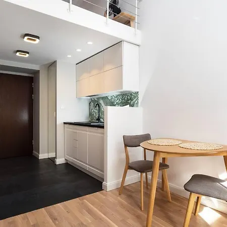 Studio With Entresol In The Old Town *